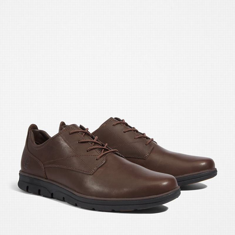 Timberland Bradstreet Plain Toe Oxford Shoes Brown | 29318057