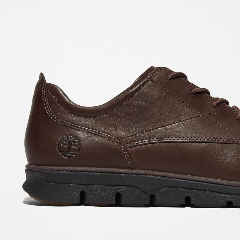 Timberland Bradstreet Plain Toe Oxford Shoes Brown | 29318057