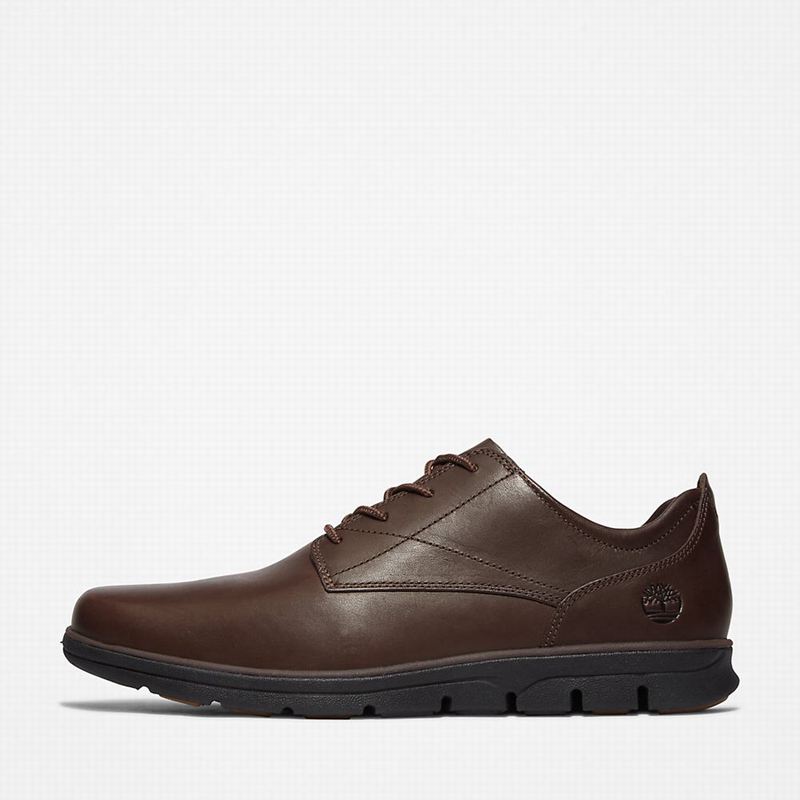 Timberland Bradstreet Plain Toe Oxford Shoes Brown | 29318057