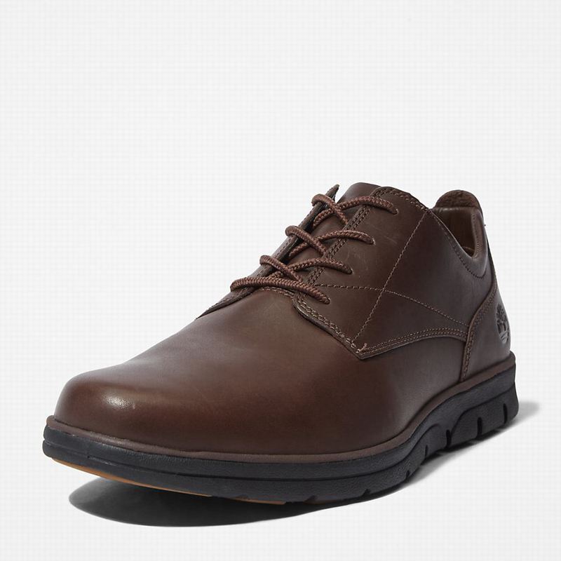 Timberland Bradstreet Plain Toe Oxford Shoes Brown | 29318057