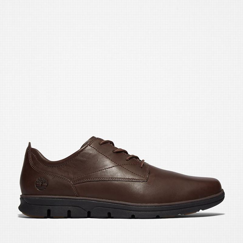 Timberland Bradstreet Plain Toe Oxford Shoes Brown | 29318057