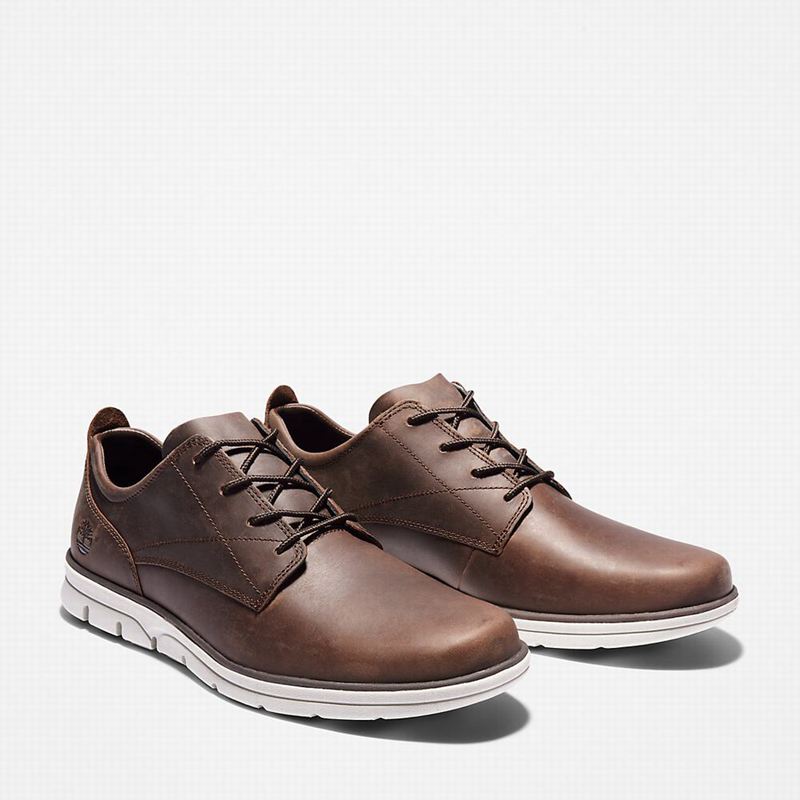 Timberland Bradstreet Sneakers Brown | 39699437