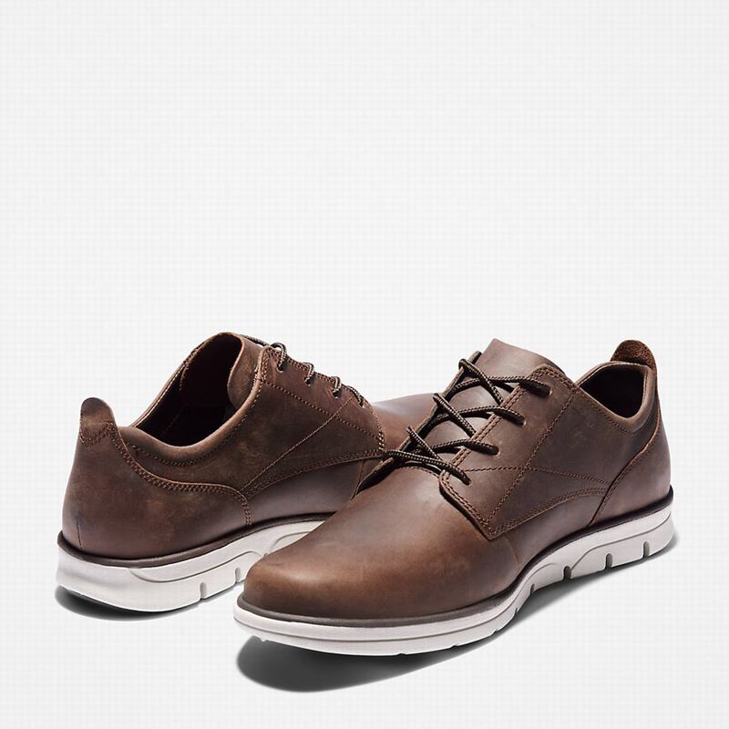 Timberland Bradstreet Sneakers Brown | 39699437