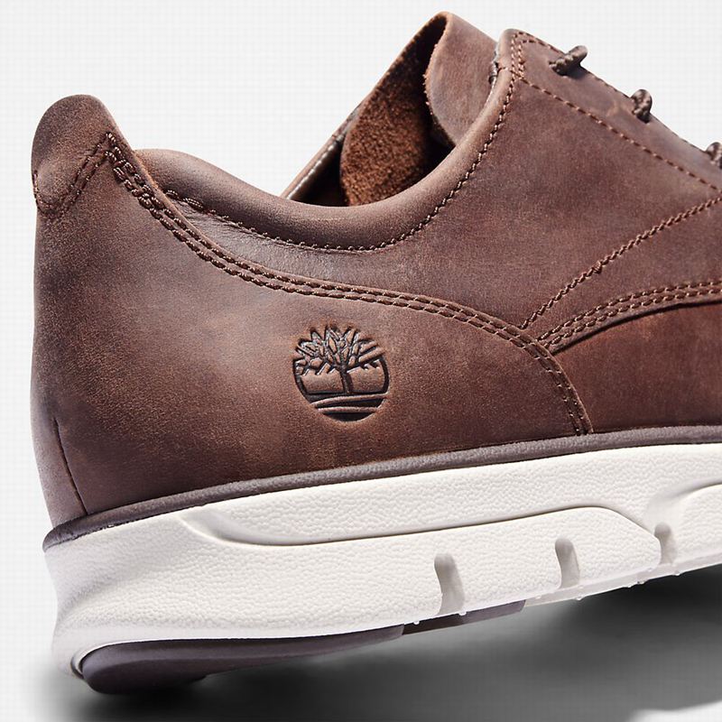 Timberland Bradstreet Sneakers Brown | 39699437