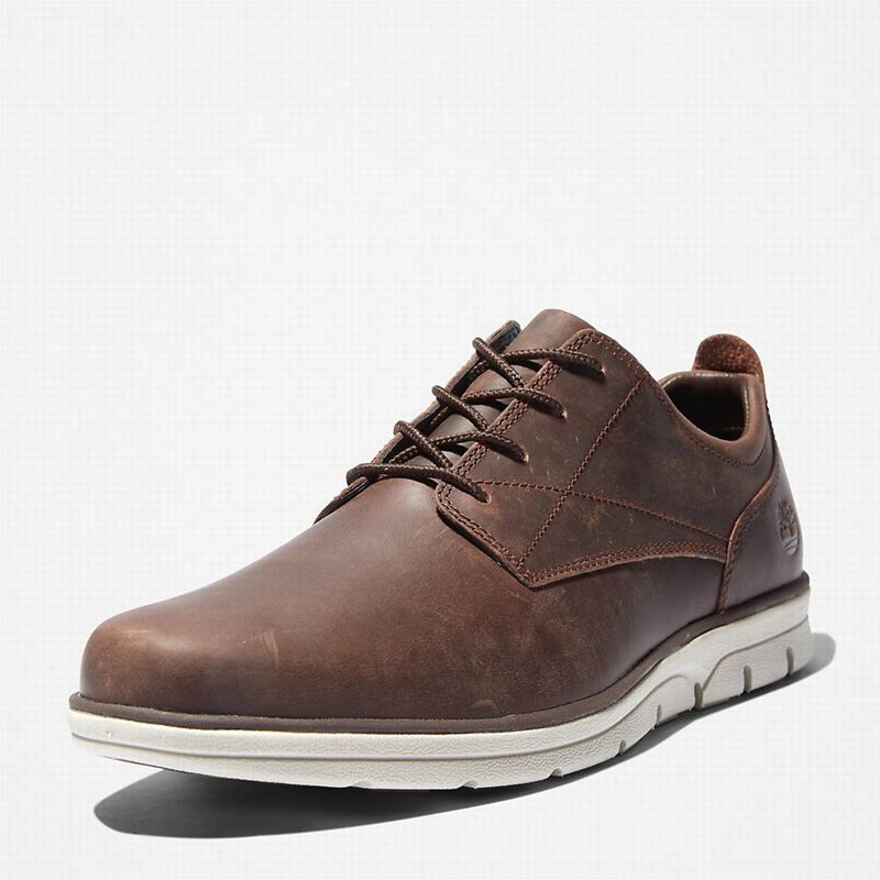 Timberland Bradstreet Sneakers Brown | 39699437