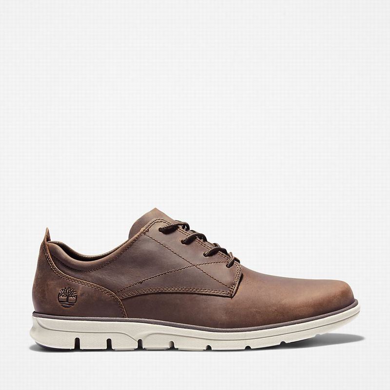 Timberland Bradstreet Sneakers Brown | 39699437