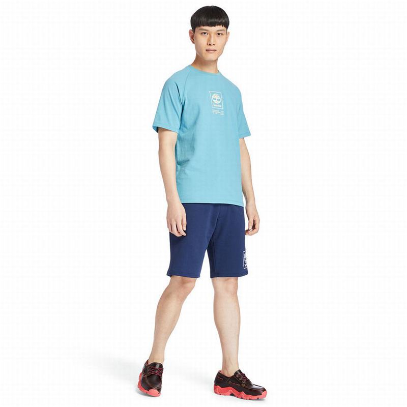 Timberland Dunstan River V-Neck T-Shirts Blue | 7870103