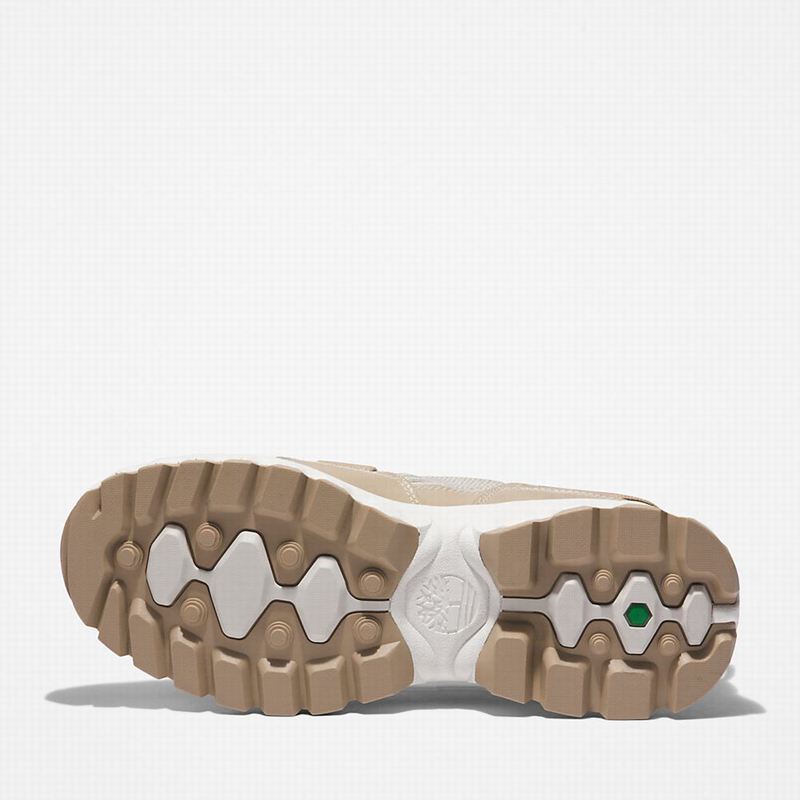 Timberland Edge EK+ Hiking Shoes Beige | 1405549