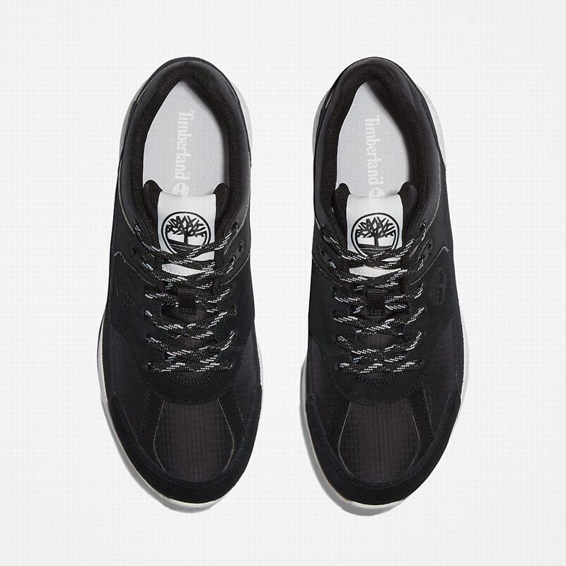 Timberland Field Trekker Sneakers Black | 59534144