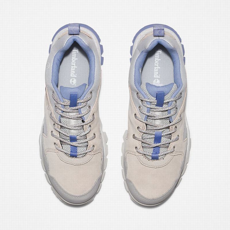 Timberland Garrison Trail Sneakers Beige | 4531295