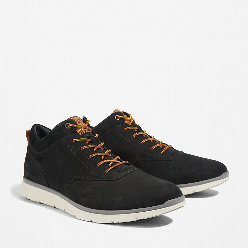 Timberland Killington Oxford Chukka Boots Black | 70980557