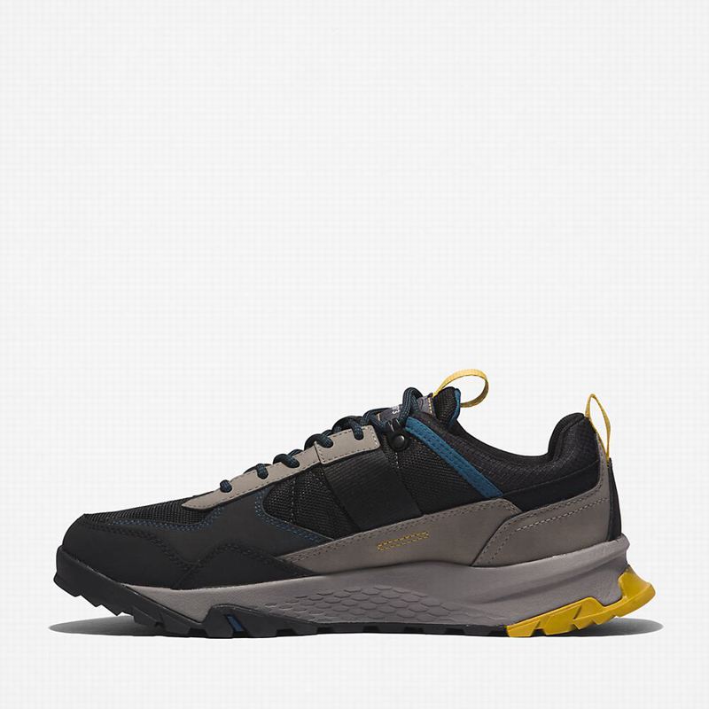 Timberland Lincoln Peak Gore-Tex Hiking Shoes Black | 60947118