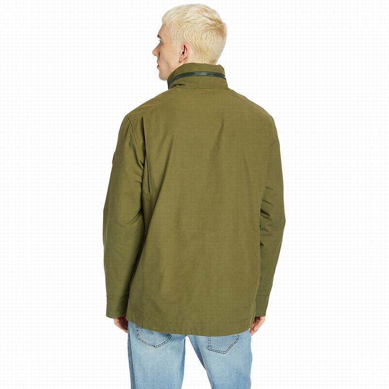 Timberland Mt. Washington Insulated Jackets Olive | 15896302