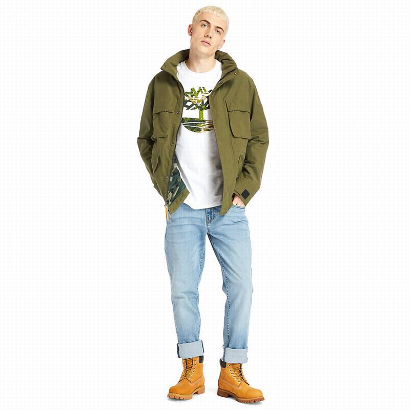 Timberland Mt. Washington Insulated Jackets Olive | 15896302