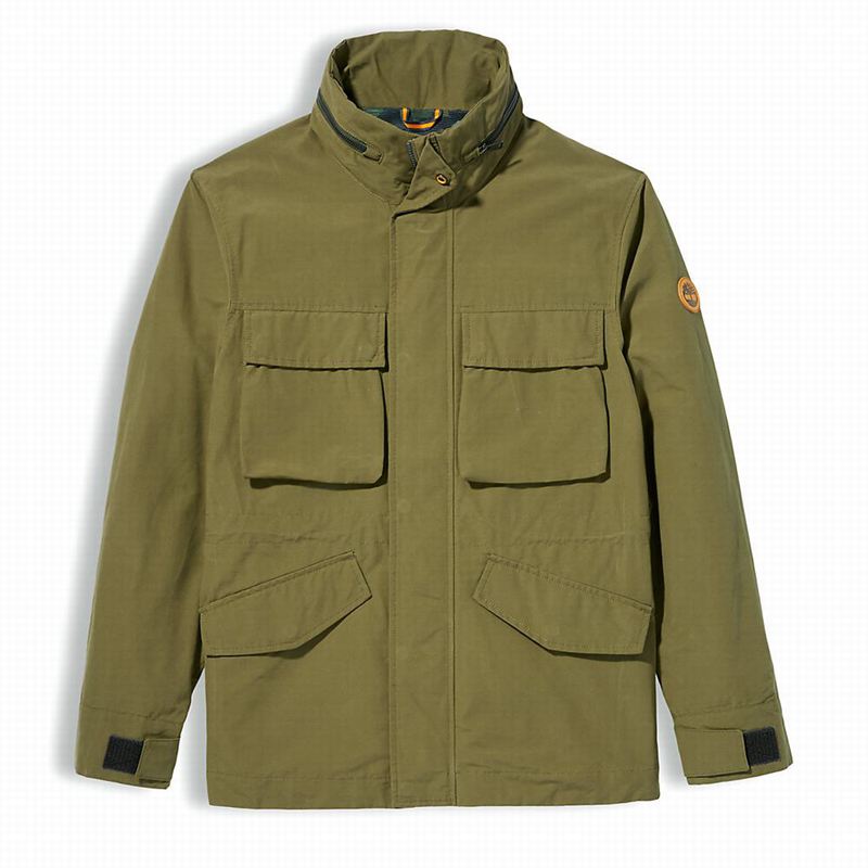 Timberland Mt. Washington Insulated Jackets Olive | 15896302