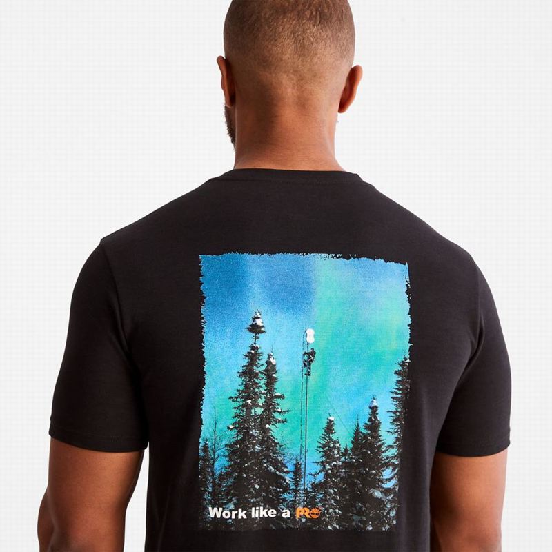 Timberland Paint Pride T-Shirts Black | 74598399
