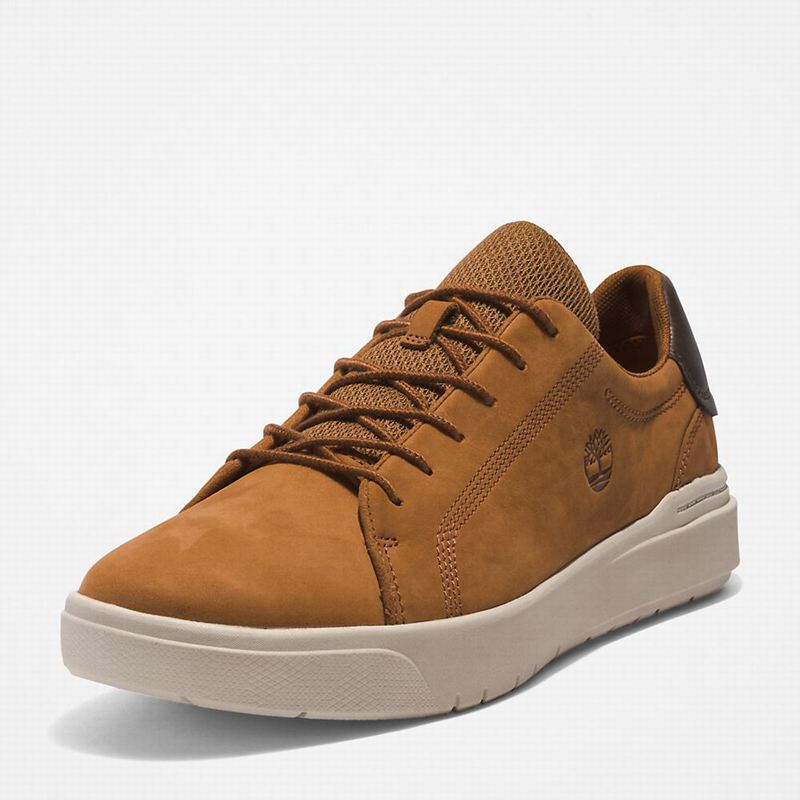 Timberland Seneca Bay Sneakers Brown | 27462329