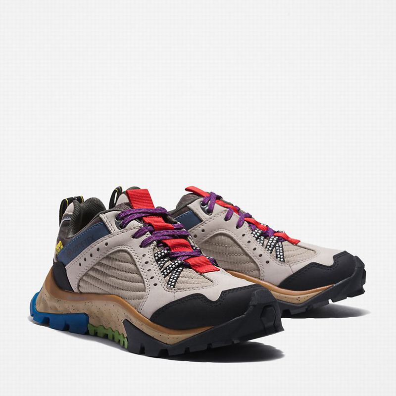 Timberland Solar Ridge Hiking Shoes Beige | 32053745