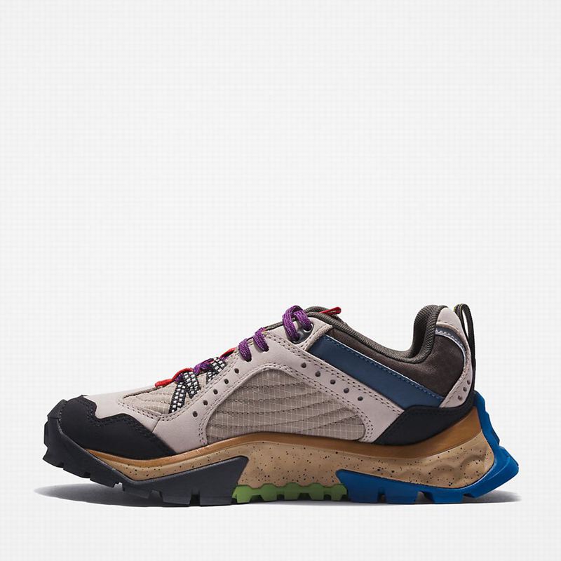 Timberland Solar Ridge Hiking Shoes Beige | 32053745