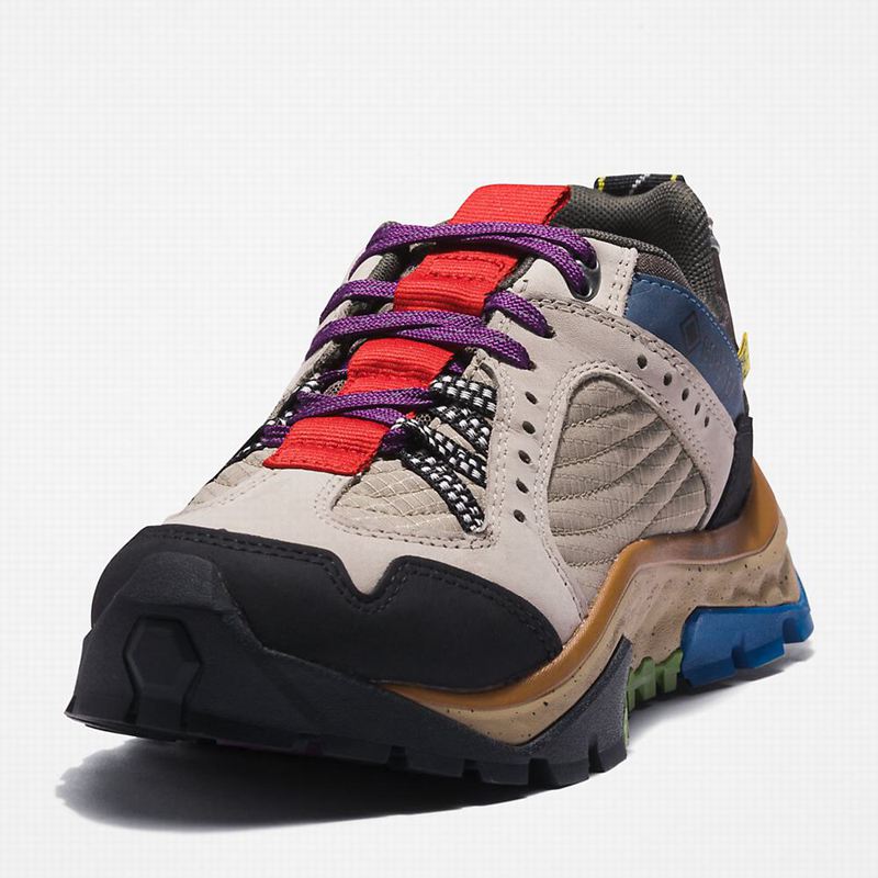 Timberland Solar Ridge Hiking Shoes Beige | 32053745