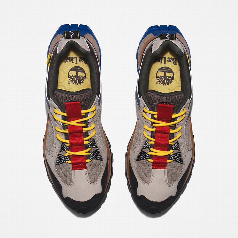 Timberland Solar Ridge Hiking Shoes Beige | 42892142