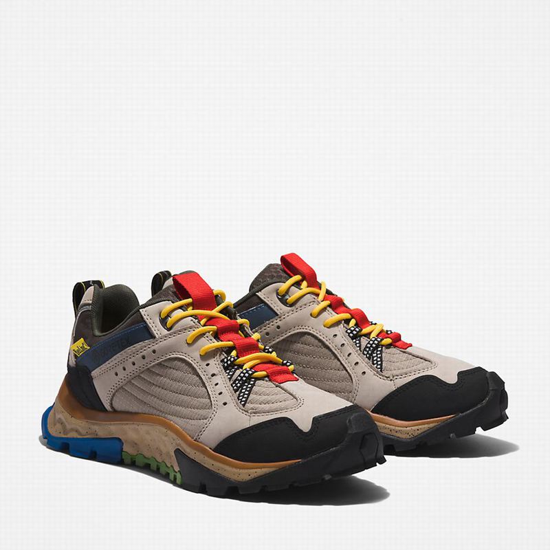 Timberland Solar Ridge Hiking Shoes Beige | 42892142