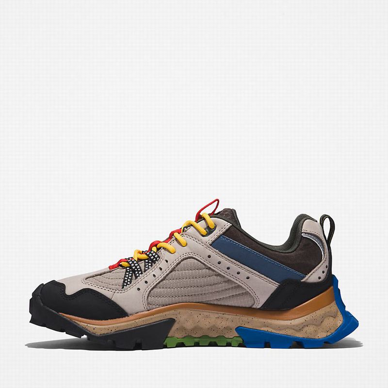 Timberland Solar Ridge Hiking Shoes Beige | 42892142