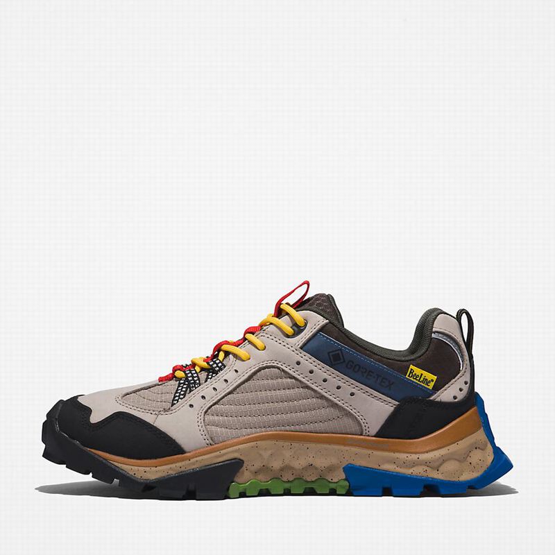 Timberland Solar Ridge Hiking Shoes Beige | 42892142