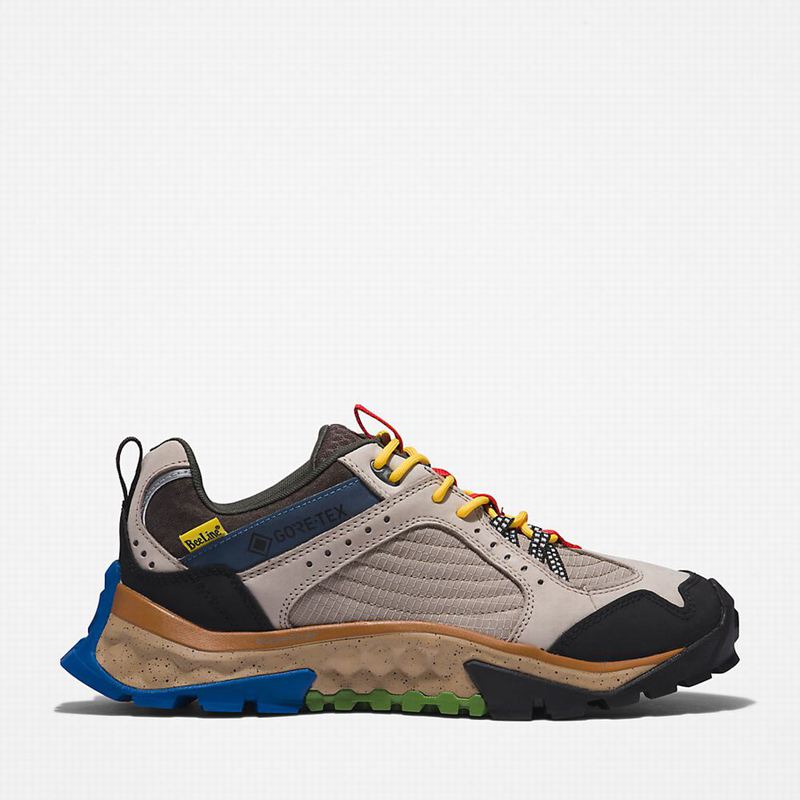 Timberland Solar Ridge Hiking Shoes Beige | 42892142