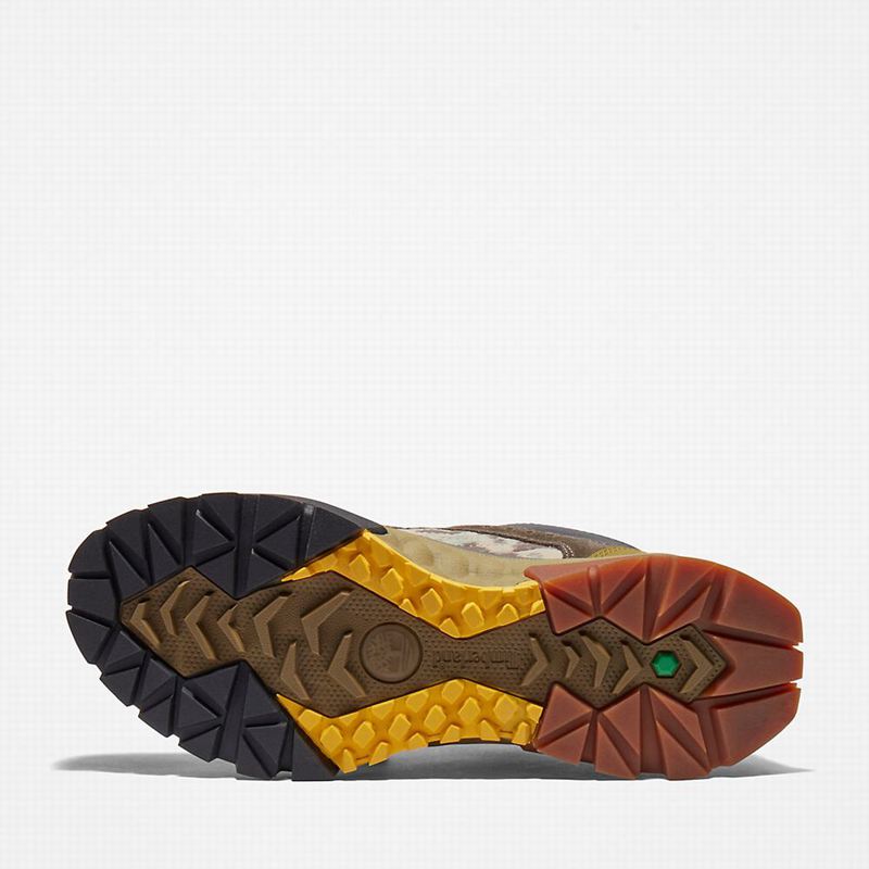 Timberland Solar Ridge Hiking Shoes Olive | 71796330