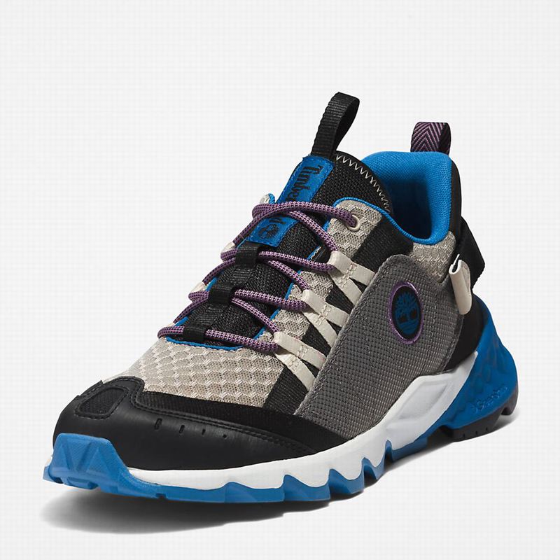 Timberland Solar Wave Hiking Shoes Grey | 47977421