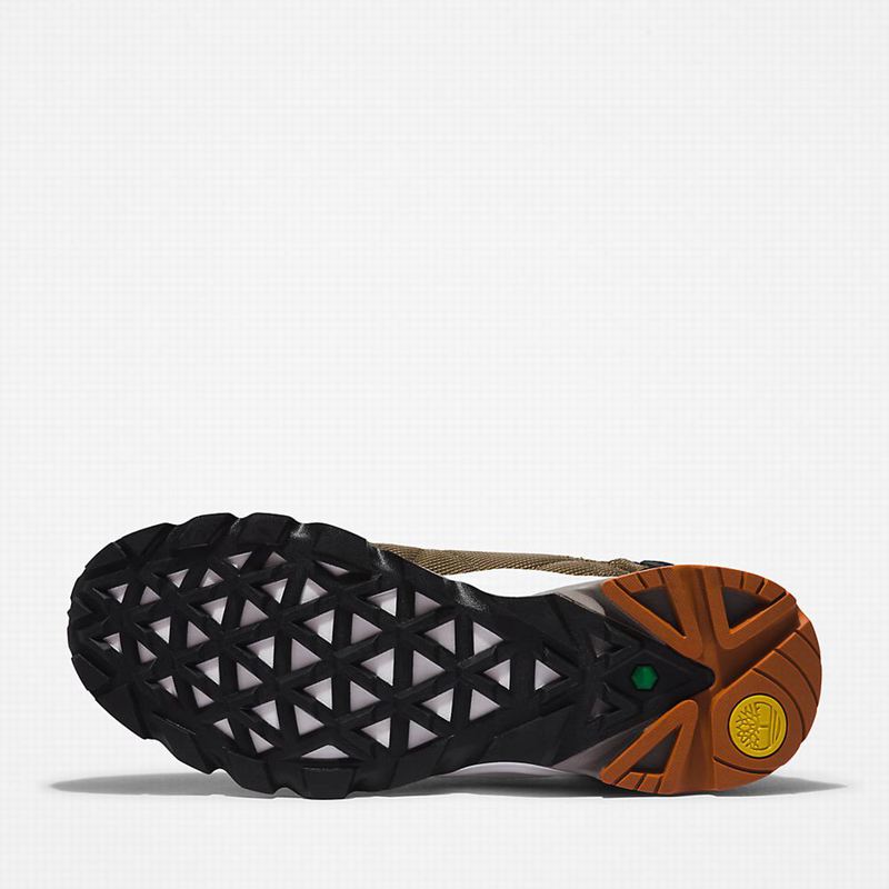 Timberland Solar Wave Hiking Shoes Olive | 96725576
