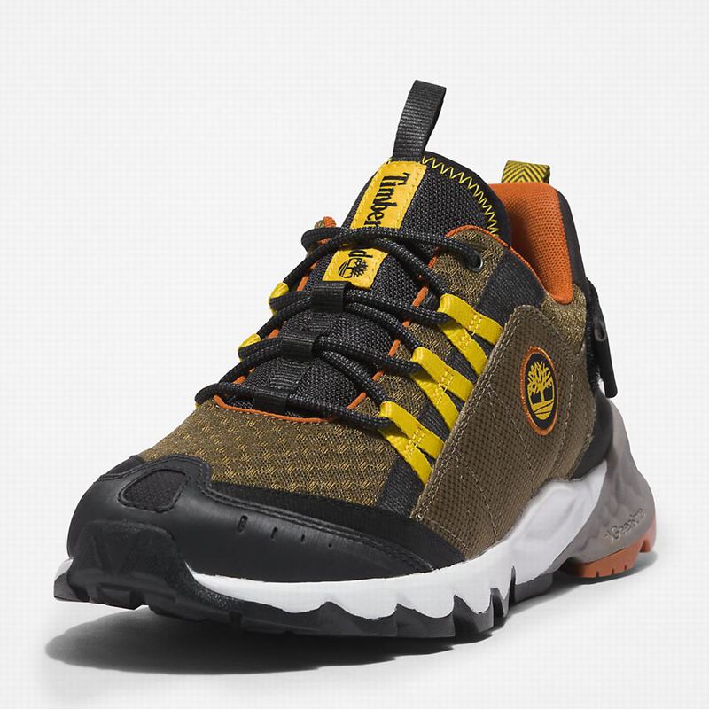 Timberland Solar Wave Hiking Shoes Olive | 96725576