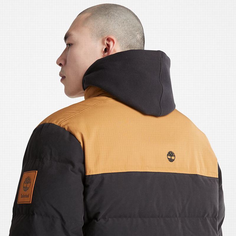 Timberland Summer Puffer Jackets Black | 8695434