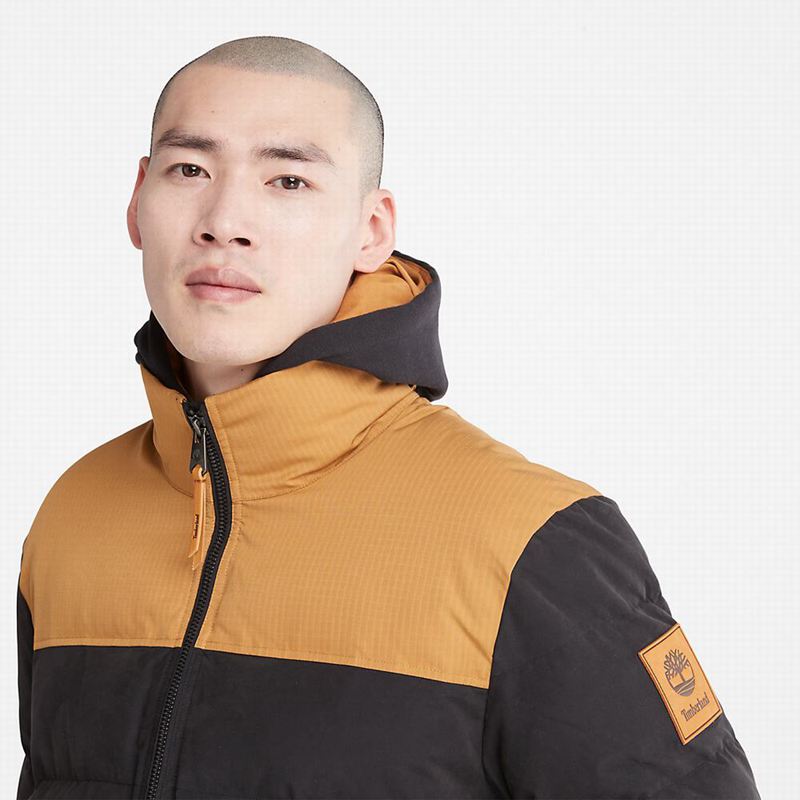 Timberland Summer Puffer Jackets Black | 8695434