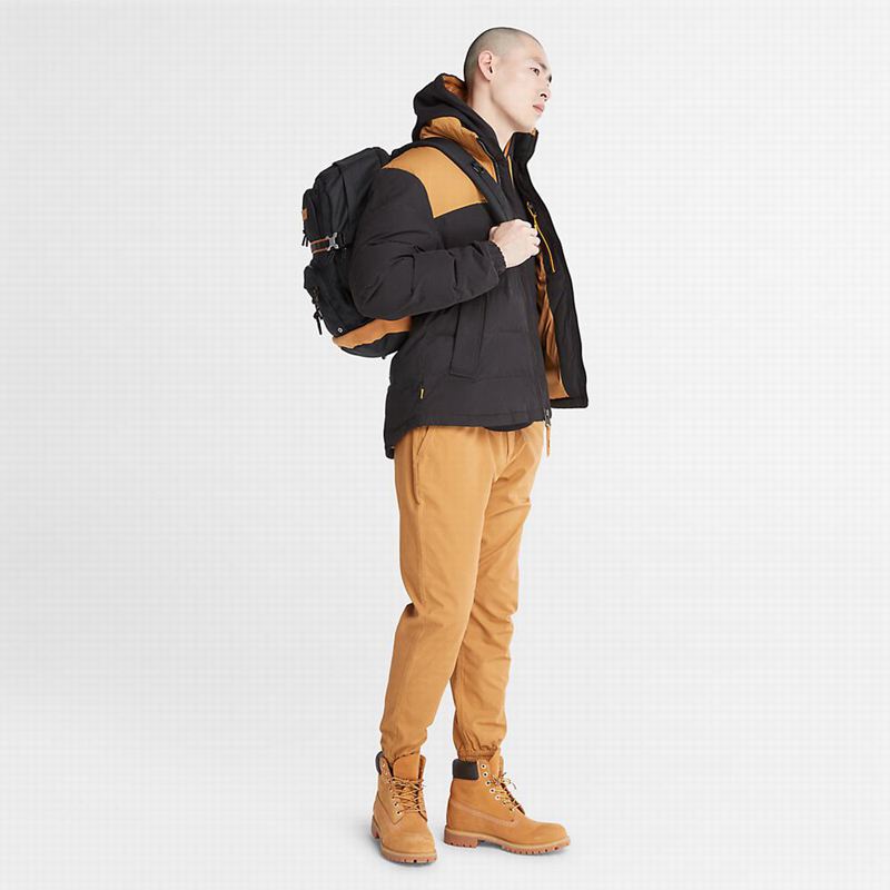 Timberland Summer Puffer Jackets Black | 8695434