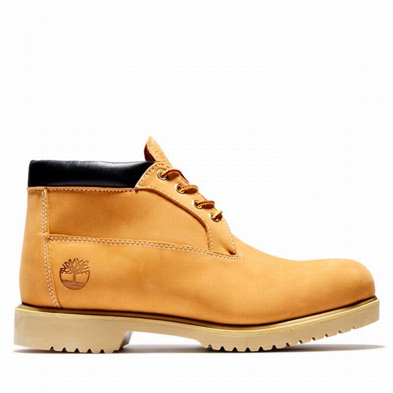 Timberland 1973 Newman Waterproof Chukka Boots Brown | 96648070