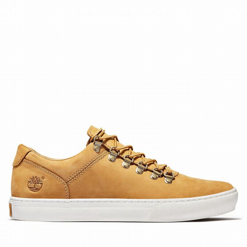 Timberland Adventure 2.0 Cupsole Alpine Sneakers Yellow | 31856310
