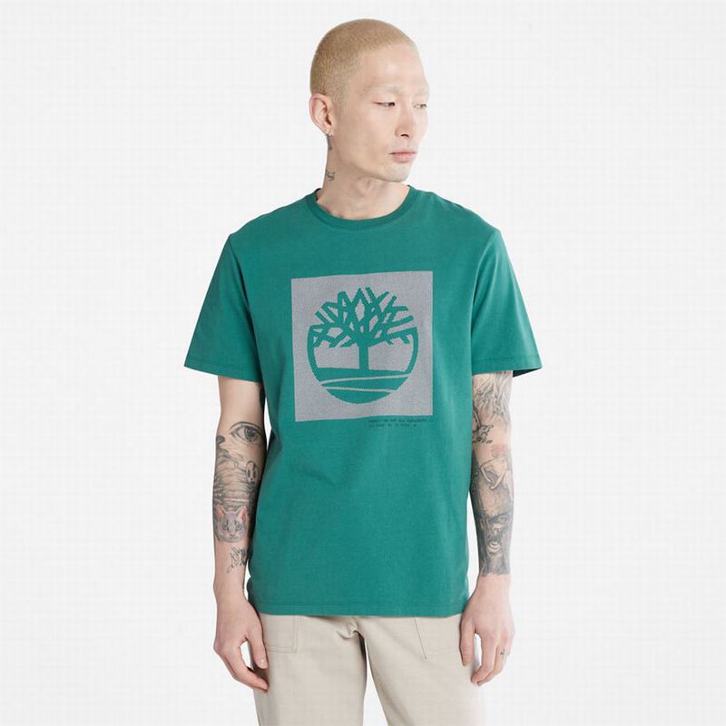 Timberland Anti-Odour Supima Cotton T-Shirts Turquoise | 98228350