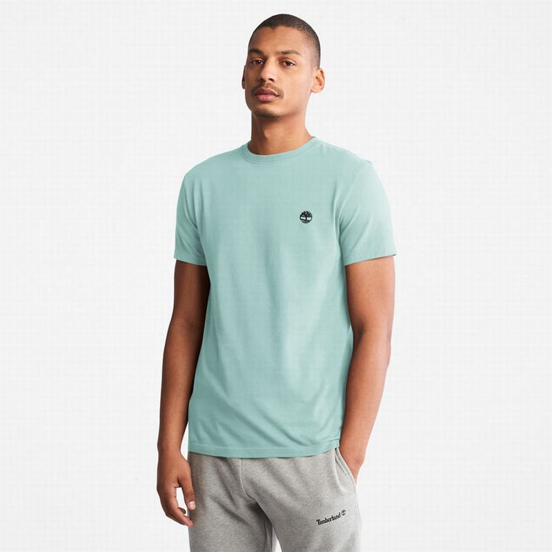 Timberland Back Graphic Logo T-Shirts Light Blue | 41454965