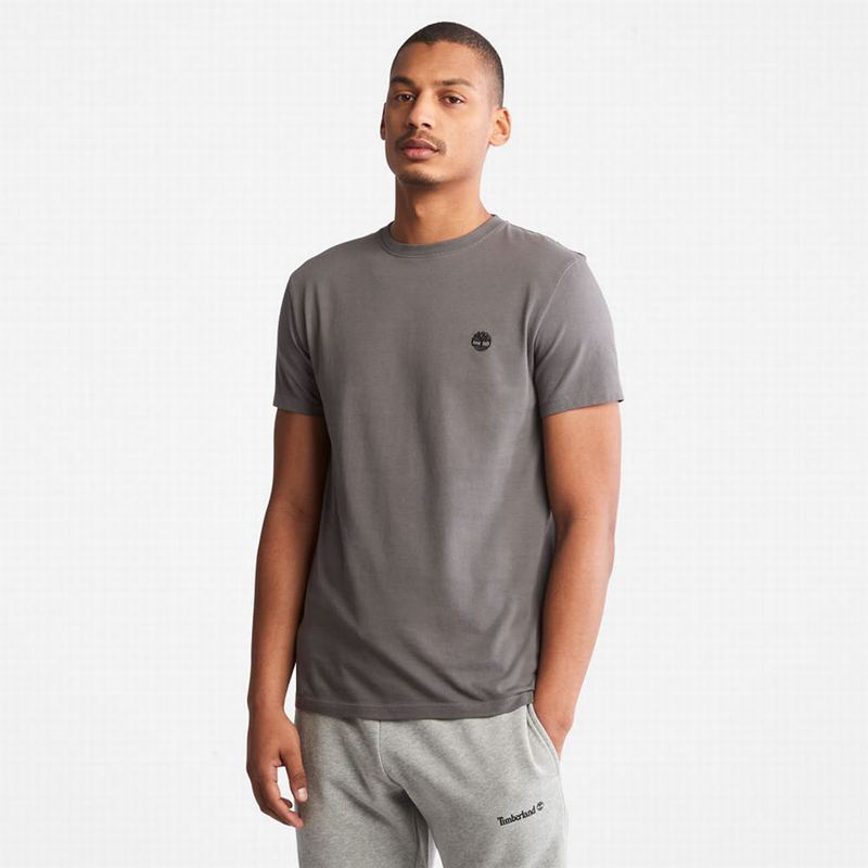 Timberland Back-Graphic T-Shirts Grey | 73944015