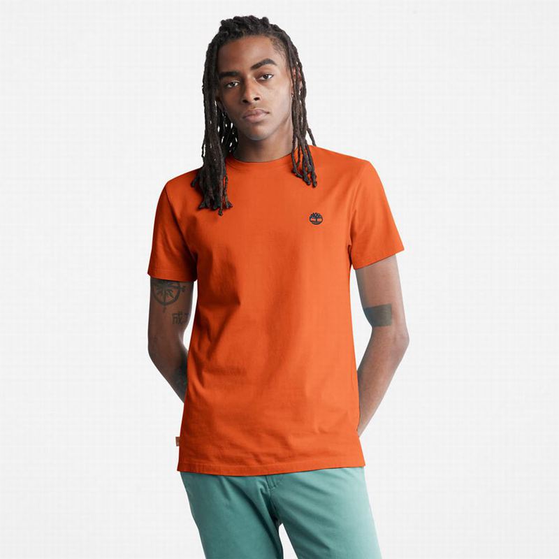 Timberland Back-Graphic T-Shirts Orange | 83666116