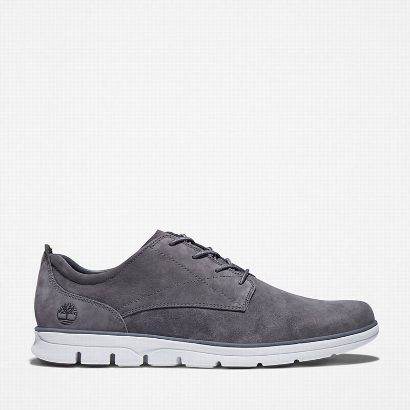 Timberland Bradstreet Sneakers Grey | 37003146