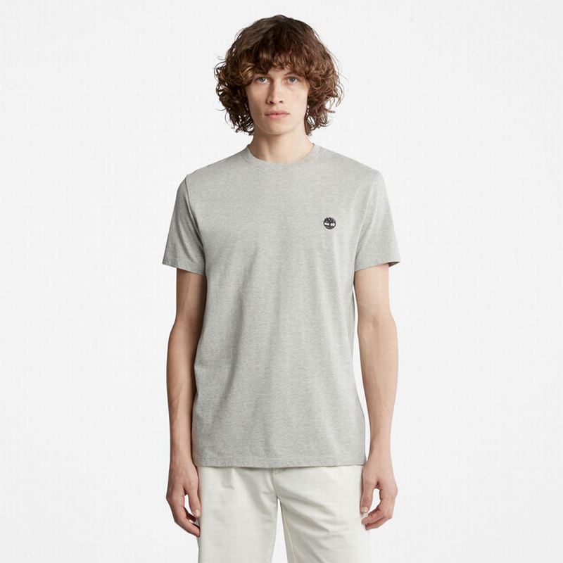 Timberland Cropped Logo T-Shirts Grey | 85035810