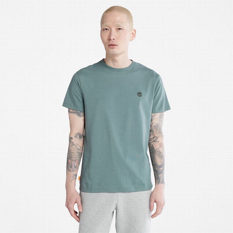 Timberland Cropped Logo T-Shirts Grey | 87080928