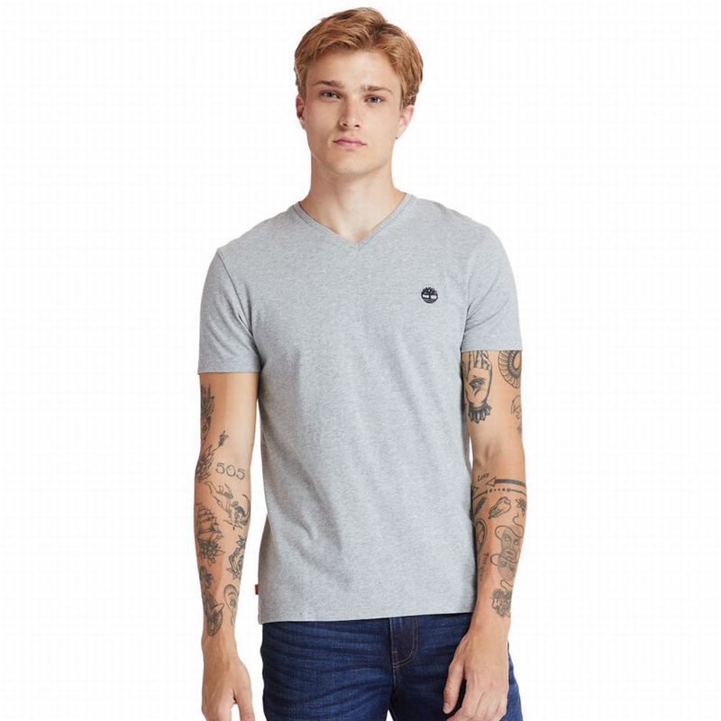 Timberland Dunstan River T-Shirts Grey | 99345241