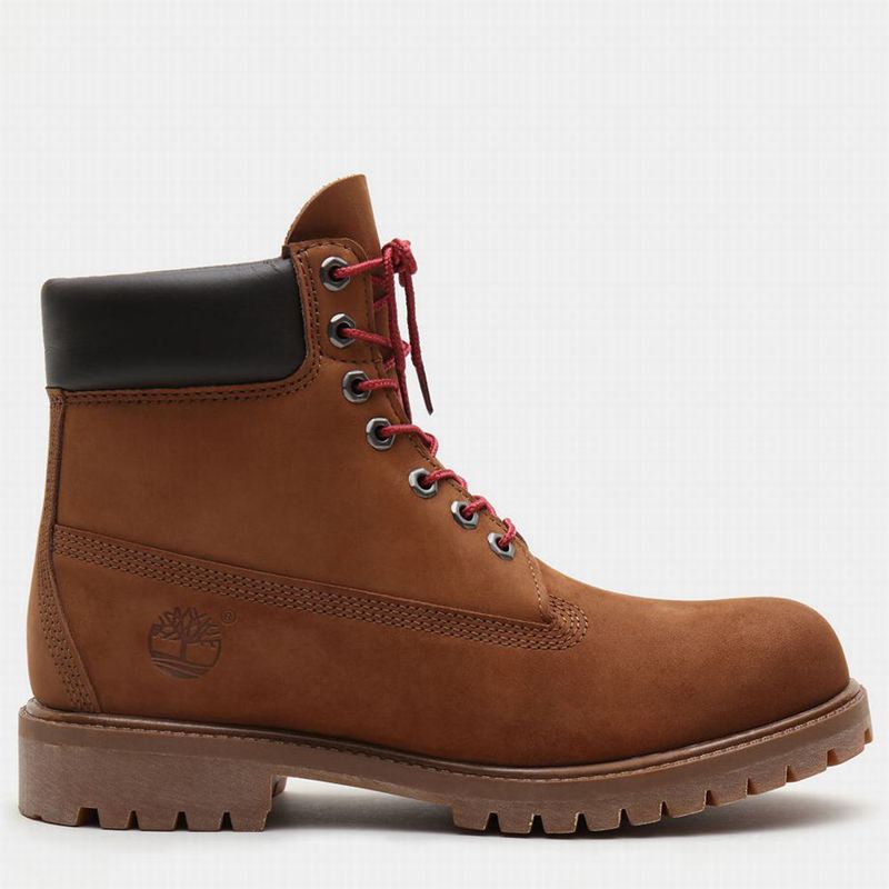 Timberland Exclusive 6 Inch Premium Boots Brown | 36201893