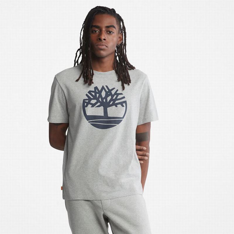 Timberland Front-Graphic T-Shirts Grey | 96081627
