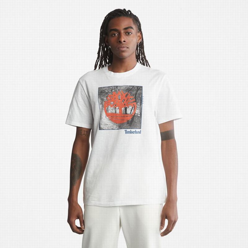 Timberland Kennebec River Tree Logo T-Shirts White | 47480993