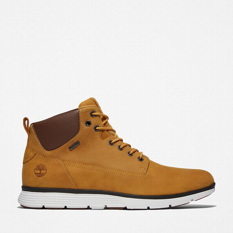 Timberland Killington Gore-Tex Chukka Boots Yellow | 96597051